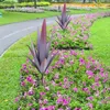 庭の装飾は庭のための金属植物を高級植物の家の装飾屋外の置物ディーフラワー像