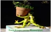 Everyday Collection Home Decor Mini Flower Pot Fairy Garden Dierkikker Succulente pot Outdoor Decoratie Klei Flowerpot Y2007234711630