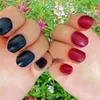 Nail paillettes Natural Plante Henné Powder Beauty Dyeing Rine Red Noir avec outils Couleurs d'art brillant 20g