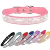 Collares de perros Hebilla XXS-L ALEA DE FIBRA GLITTRA PEQUEÑO CONJUNTO CRISTAL CRISTAL Dogs Dogzinc Gatos de gamuza de gamuza para