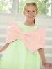 Flickaklänningar 2023 Sommar Big Bow Luxury Holiday Dress One-Piece Wedding Children Kid Party Costume Baby Clothes For Feast