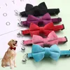 Dog Collars Cat Collar Solid Color Velvet Bowknot Puppy Chihuahua With Bell Adjustable Safety Buckle Cats Bow Tie Pets Accessories