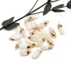 Anhänger Halsketten 2pc Natural Pearl Shell Anhänger unregelmäßige weiße Reize für Schmuck Making DIY Frauen Halskette Ohrringe Handwerk