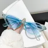 Occhiali da sole Fashion Cat Eye Anti Blue Light Glasses Outdoor Sun Shade Sole per donne Anti-Glare Uv400
