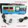 Full Automatic Egg Inkubatortemperatur Fuktighetskontroller Egg Inkubator Digital Controller för 5081509