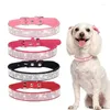 Dog Collars Buckle Xxs-l Glitter Fiber Alloy Small Comfortable Crystal Dogs Dogzinc Rhinestone Suede Cats For