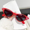 Occhiali da sole Fashion Cat Eye Anti Blue Light Glasses Outdoor Sun Shade Sole per donne Anti-Glare Uv400