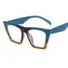 Gafas de sol marcos Gafas de ojo de estilo europeo para hombres Bloqueo de luz azul marco de mujer Vaso femenino