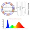 屋内植物のライトLEDライトスタンドフルスペクトルデスク成長ランプタイマー8H/12H/16高さ調整可能40.1-152cm