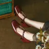 Elbise Ayakkabı 2023 Bahar Kadınlar Doğal Deri Pompalar 22-24.5 cm Cowhide Pigskin Tam Kare Toe Mary Jane T-Bağlı Kalın Topuklular