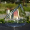 Vasi di vetro Vaso Vaso Micro Paesaggio BOTTO FLOORE POTTO COMPLETO PER MICRO-ECOLOGIA DECOTTIBILE