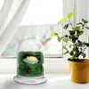 Vaser DIY Glasflaska Flower Pot Plant Terrarium Canister Container Lagring Micro Landscape Mini Decorative Vase
