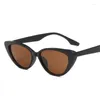 Lunettes de soleil style mode Femmes Cat Forme Eley UV Protection Loiseries Holiday Traveling Female Sungass Feme