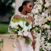 2024 African Arabic Aso Ebi Wedding Dresses Sheer Neck Long Sleeves Elegant Illusion Lace Beaded Mermaid Bridal Gowns for Bride Gorgeous Tiered Tulle Dress D082