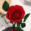 Boîte à fleurs avec couvercle en verre pour petite amie, décoration créative pour cadeau de saint-valentin, Rose éternelle, 12cm x 20cm
