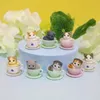 8 datorer teacup hundkatter figur mini djur dekoration miniatyr hare figur harts hantverk hem trädgård prydnad diy tillbehör 231222