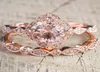 2 StuksSet Kristallen Ring Sieraden Rose Goud Kleur Trouwringen Voor Vrouwen Meisjes Gift Engagement Wedding Ring Set8123632