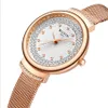 Wlisth Brand Watch Crystal Diamond Starting Starting Standasting Quartz Womens Watch Corptuar