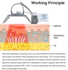 Corps d'élimination de la cellulite micro-ondes