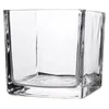 Vases Cube Glass Planter Square Hydroponic Flower Container Plant Great Disposition