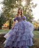 Floral Print Formal Party Dress 2k24 Detachable Sleeves Pattered Ruffle Tulle Lady Pageant Senior Prom Evening Event Hoco Gala Cocktail Red Carpet Gown Photoshoots