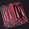 70 Pet Grooming Scissors Set Japanese Steel Straight Curved Dog Cating Thunning Shears Hair Comb Hemostatiska pincett Z3103 231225