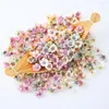 Decoratieve bloemen 100 stuks 2 cm kunstmatige mini zijden pompom madeliefje bloemhoofd DIY bloemen handgesneden bruiloft verjaardagsfeestje decor lente Pasen