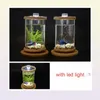 Aquariums à 360 degrés Verre rotative Betta Tank Bamboo Base Mini Decoration Rotate Bowl Aquarium Accessoires pour Office6701736