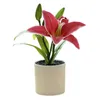 装飾花偽の植木鉢シミュレーションイージーケアプラスチックリアルな盆栽植物植物装飾