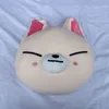 Stray Kids Skzoo Plush Toy Cartoon Soft Stuffed Animal Plushies Doll Kpop Kawaii Throw Pillows CUDIONS Toy for Kid Fan Gift 231225