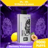 Deutschland Lager 9000 Puffs Einwegartikel Vapes Pen Puff 9k elektronische Zigaretten 14 ml Pod Mesh Coil LED-Bildschirmanzeige wiederaufladbar 2 % 5 % Gerät