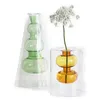 Nordisk kreativ färgad glasvas ornament hydroponic transparent blommor torktumlare hem vardagsrum dekoration 231225