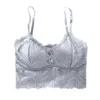 Bustiers Corsets Wireless Push Up for Women sexy deep v lace padded bralette softソフトチューブトップ女性の親密