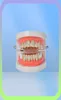 New Hip hop teeth tooth grillz copper zircon crystal teeth grillz Dental Grills Halloween jewelry gift whole for rap rapper me74681161040