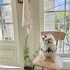 Chinese and Korean pop plaid pet cape small dog bib beret accessory