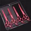 70 Pet Grooming Scissors Set Japanese Steel Straight Curved Dog Cat Cutting Thinning Shears Hair Comb Hemostatic Forceps Z3103 231225