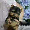 Kawaii Yorkie Cucciolo di cane farcito Teddy Dog Peluche Bambole carine Bambini Per bambini Animali domestici Regali Simulazione Compleanno Fluffy Kpop 231225