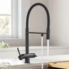 Kitchen Faucets Filtered Dual Spout Filter Faucet Mixer Pull Out Spray 360 Rotation Water Purification 3 Ways Sink