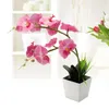 Dekorativa blommor 9 LED konstgjorda blommeljus orkidéer potten faux växter lampor phalaenopsis