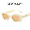 Sunglasses Fashion Trendy Sun Glass Women Oval Shape Anti-reflective Glasses For Stylish Y2K Ladies