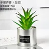 Decorative Flowers Simulated Succulent Plant Pineapple Lover's Tears Finger Of Bergamot Ornamental Bonsai Color Artificial Potted
