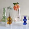 Nordic Creative Colored Glass Vase Ornaments Hydroponic Transparent Flower Dryer Home Living Room Decoration 231225
