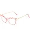 Les lunettes de soleil encadrent en plastique Plectacle Spectacle Spectacle Men's Retro Fashionable Myopia Eyeglass de personnalité des femmes