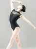 Одежда для балета и танцев, колготки для взрослых женщин с короткими рукавами и высоким воротом для занятий воздушной йогой, тело 231225