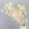 Decorative Flowers Fake Long Stem Magnolia 37" Length Simulation Autumn Polypedal Orchid For Wedding Home Artificial