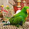 Outros pássaros suprimentos 3 PCs Parrot Toy Pet Birds Concluindo gaiolas grandes Papagaios grandes mastigando a forragem de brinquedos