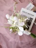 Bröllopsblommor 2023 Simulering Flower Orchid Calla Lily Tulip White Bride Holding Fake Korean Style Bouquet