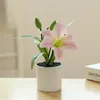 Kwiaty dekoracyjne Fałszywe doniczka symulowana łatwa do pielęgnacji realistyczna bonsai sztuczny wystrój rośliny do domu