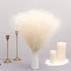 Dekorativa blommor tenvity 10st fluffiga pampas gräs konstgjord blommor dekor boho hem bröllop bukett sovrum party vass falska växter