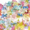 Fiori decorativi 100pcs 2 cm Mini seta pompom Pompom Daisy Fagro Fagro Mano floreale Carft Madre